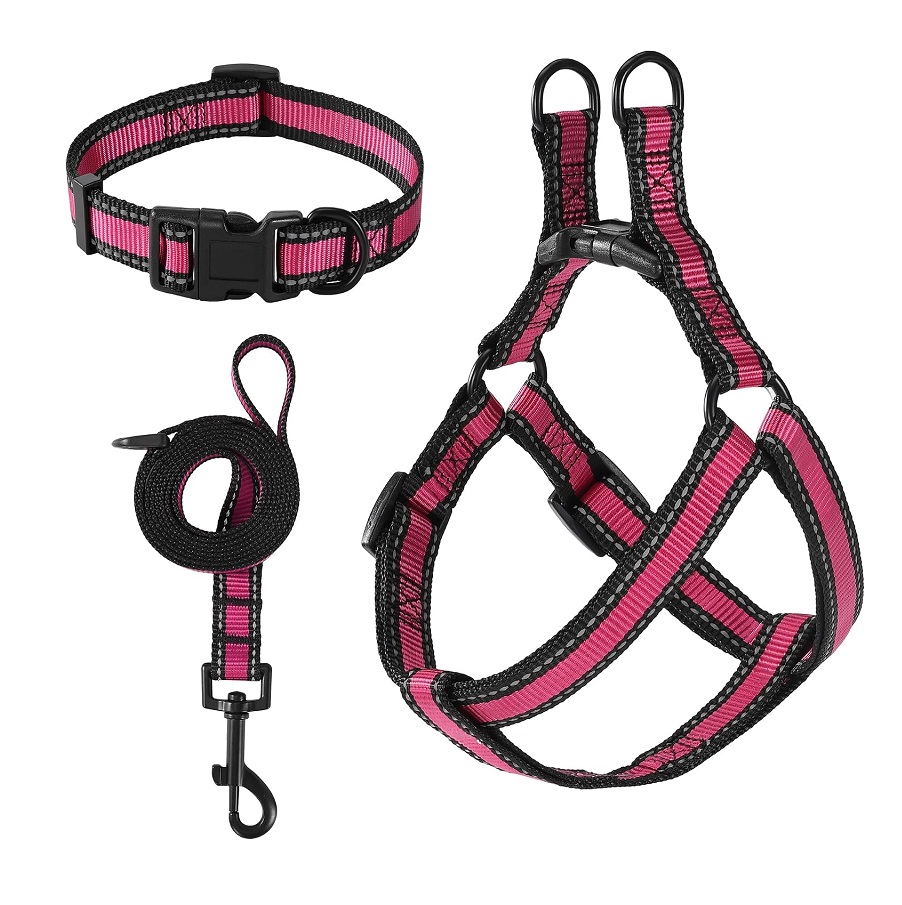 3M Reflective Safety Collars & Leashes
