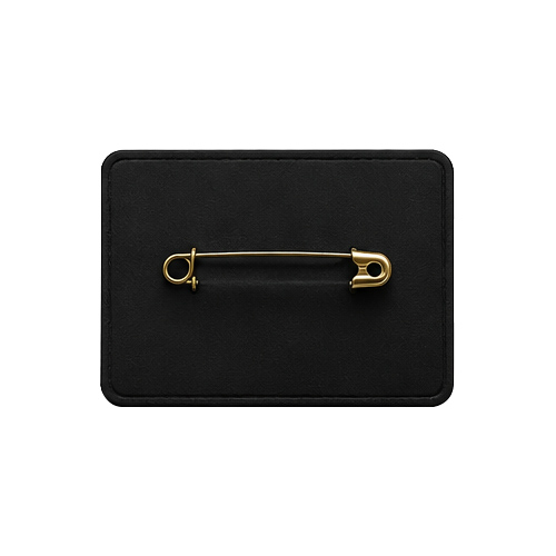 Safety Pin
