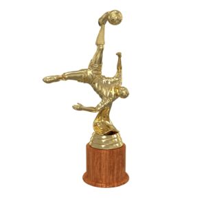 Custom Football Trophies