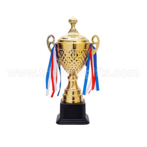 Gold Award Custom Trophy