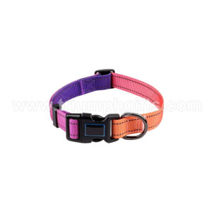 Custom Dog Collars