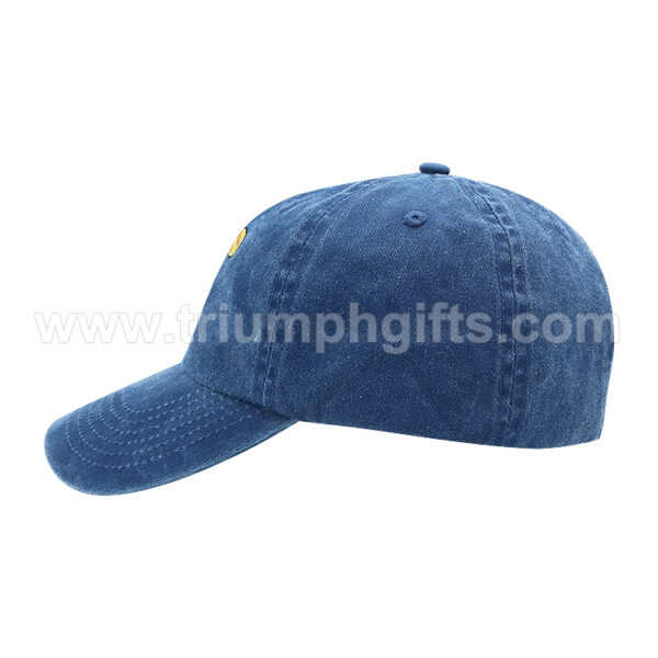 Embroidered Dad Hats