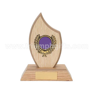 Laser Engraving Wooden Trophies