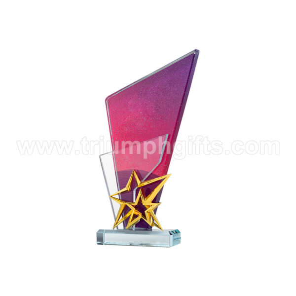 Custom Acrylic Trophies - 图片 4