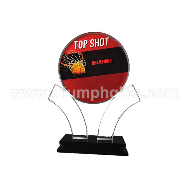 Custom Acrylic Plaques - 图片 3