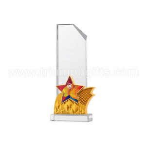 Personalized Acrylic Awards